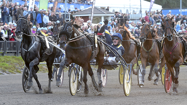 Open Trot p� bergs�ker i Sundsvall 28/8, 2 dagar
